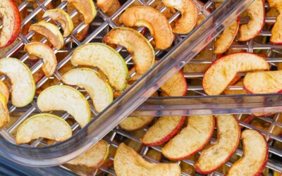 Ranking suszarek spożywczych 2026